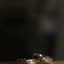 오블랏