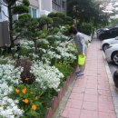 가야벽산 이미지