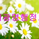 새광명행정사 이미지