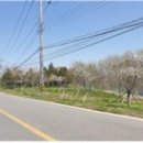 대등축산 이미지