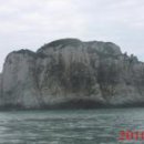 복생도 Daum백과