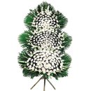 홍익병원목동관 이미지