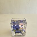 블리스(Bliss) 이미지