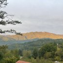 숲속 하얀 뜰 이미지