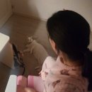 은혜고등학교 | 두 번 거칠어진 기분이 어떠세요?