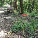 춘강 농장 이미지