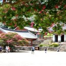 명재농장 이미지