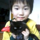 하음 동물병원 Daum카페