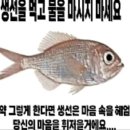 미미네 떡볶이 밀키트 먹어본 바오들아 이미지