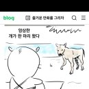 이거 웹툰 개꿈 작가 블로그라던데 이미지