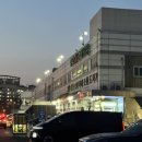 구지시장(등록) | 스튜디오웨딩촬영 소품 추천: 양재꽃시장 셀프부케, 딸기케이크, 렌즈, 누브라, 바디쉐이퍼, 리본넥타이...