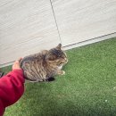 이쁘지나 | 우철이의 2월