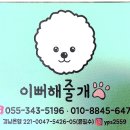 이뻐해줄개 네이버블로그
