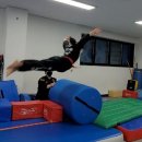 튼튼합기도 이미지