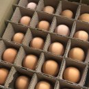 유나네 자연숲 농장 이미지