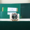 올리브그린 이미지