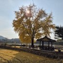 신당리마을회관 이미지