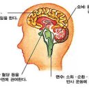 부부상담의 이론과 실제 이미지