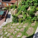 펜션화수목 이미지