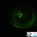 백현 동물병원 이미지