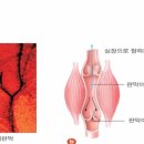 북가좌동헬스 이미지