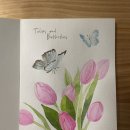 지니 나비 이미지