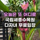 세종수목원 아이랑 갈만한 곳 다자녀 입장료 무료입장 해리포터특별전