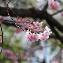 배화학교 이미지