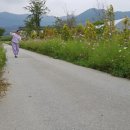 서일초병설유치원 이미지