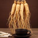 포나후렉스노동조합 | 백진삼 효능 성분 먹는법 홍삼 흑삼 차이점 포함