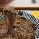 사이카츠 이미지