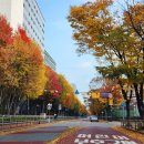 강서로 68길 이미지