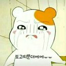 너가보고싶다너보고