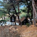 (주)이에스리조트클럽 | 클럽 이에스 제천 리조트 후기｜객실 컨디션·부대시설·숲속 산책로까지