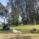 헬스카페 이미지