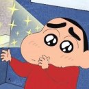 PETIQUE | 지위픽독 소고기 습식캔 내돈내산 후기