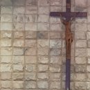 일화목장 이미지