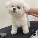 멈머링(mummuring) 이미지