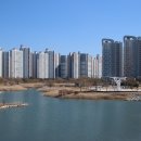 배곧생명공원 이미지