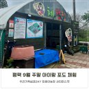 킹콩이농장