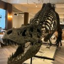 수원시 팔달구 화서문로75번길 이미지