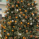 [여행일기] 겨울 제주 여행 2박3일 코스 추천 1일차🍊공항근처 여행지, 애월소품샵, 협재 감성 LP바...