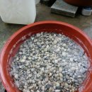 장골민박 이미지