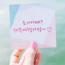 요기어때 네이버블로그