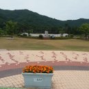 평화랜드 이미지