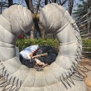 몽마르뜨공원 이미지