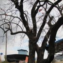 벌교원동 이미지