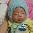 위드퍼피 애견미용실 이미지