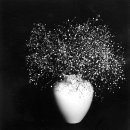 당신은 혼자가 아니 이미지