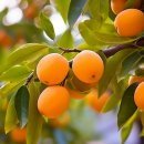 일산이비인후과의원 이미지